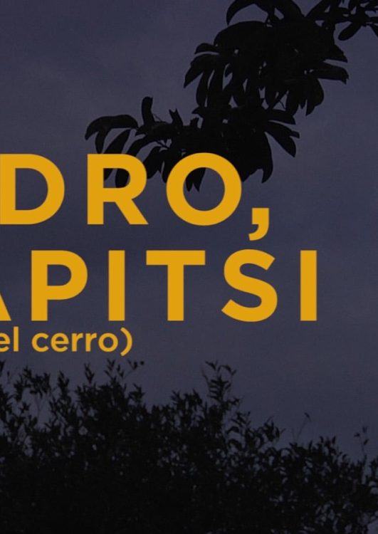 127550030_3451242818313470_7803652377754890022_o