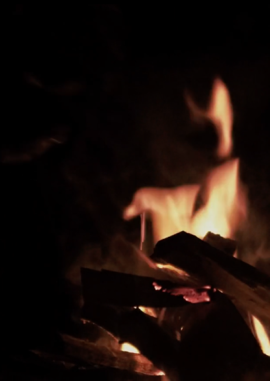 Captura de pantalla 2021-02-22 a las 11.23.53