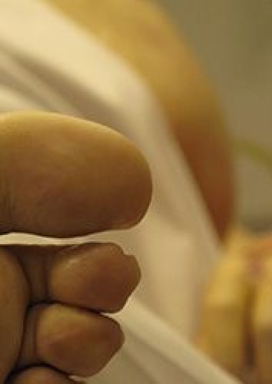 cuando-estes-muerto-catalogo-antropodocs