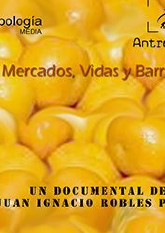 mercados-vidas-barrios-0-antropodocs