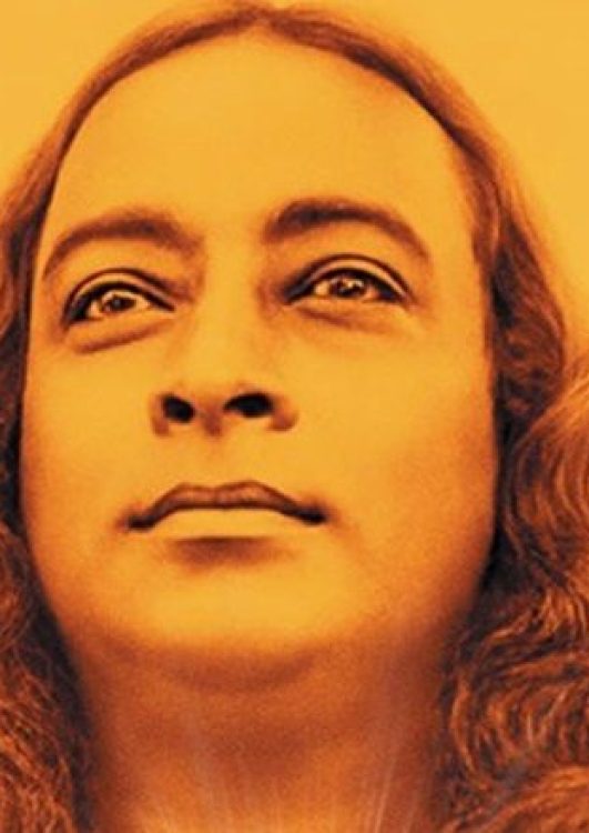 poster-awake-yogananda-by-antropodocs
